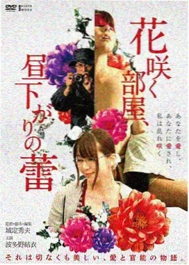 火影忍者疾风传2007 - 日本 神作
